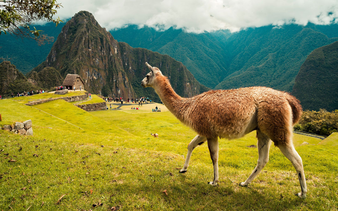 ¿Cuánto cuesta y cómo llegar a Machu Picchu?